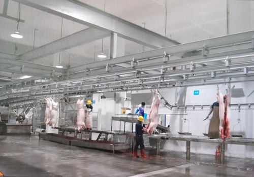 民生實(shí)事喜結(jié)碩果 區(qū)肉聯(lián)廠遷建項(xiàng)目一期工程竣工驗(yàn)收并投入運(yùn)營